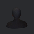 model-3.png Nelson Mandela-bust/head/face ready for 3d printing