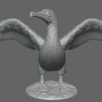 Screenshot-2024-01-04-111314.png cormorant bird
