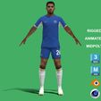 Colwill_1.jpg 3D Rigged Levi Colwill Chelsea 2024