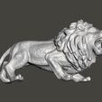 Lion-rugissant-1.jpg Roaring Lion