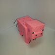 20200314_085939.jpg Minecraft Pig