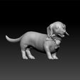 dog111111.jpg Dachshund Dog - cute dog - lovely dog - dog for 3d print