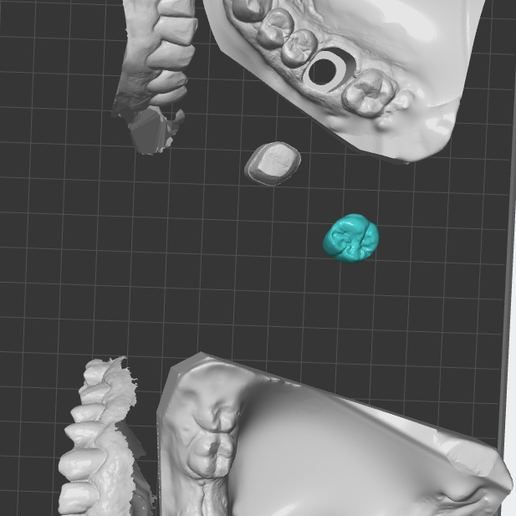 Model Set articuleted