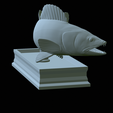 zander-statue-4-mouth-open-33.png fish zander / pikeperch / Sander lucioperca open mouth statue detailed texture for 3d printing