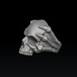 szad65f23d2f1s12f23s32f21s1.jpg Кольцо для сцепления черепов 3D печать модели