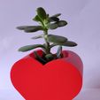 IMG_20210123_161027.jpg Fichier 3D Pot à cactus Ikea en forme de coeur・Design à télécharger et à imprimer en 3D