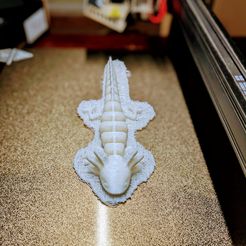 ¡Axolotl Articulado!