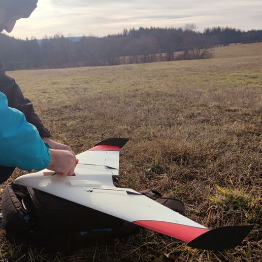 4.jpg DUCK - RC Delta Wing