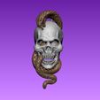 C_S_1.jpg Cobra Skull