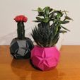 IMG_20201027_222258.jpg Succulent origami pot