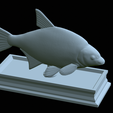 Bream-statue-25.png fish Common bream / Abramis brama statue detailed texture for 3d printing