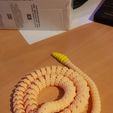 Serpiente y cascabel