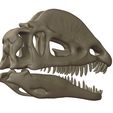 04.jpg The Dilophosaurus, 3D skull