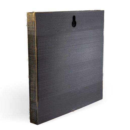 5-WB.jpg Dissected Frog