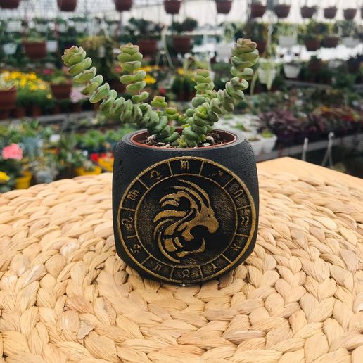 Zodiac Leo Planter Pot 3D model