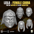 1.png Leila Collection 3D printable File For Action Figures