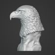 I3.jpg Eagle Bust - Original Design