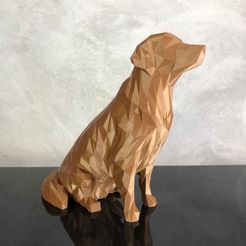 WhatsApp-Image-2022-12-14-at-13.25.14-2.jpeg Low Poly Golden Retriever