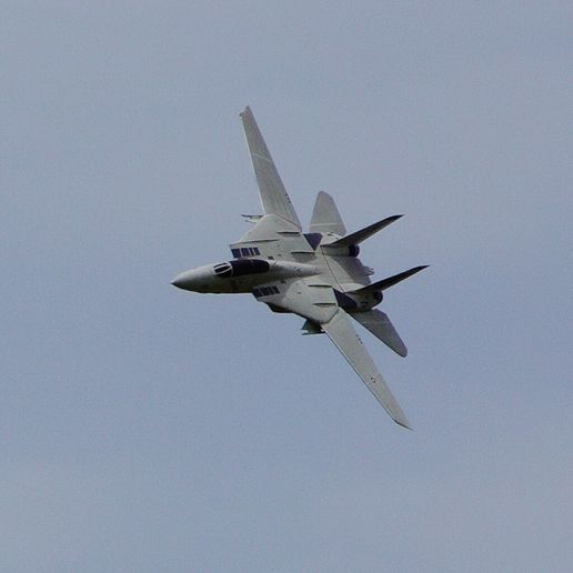 F-14-In-Flight-1.jpg F-14 RC Aircraft (Twin 50mm Fan, 1050mm span)