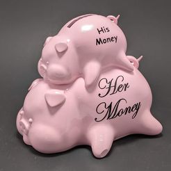 PXL_20230223_060632342.jpg His-Hers Piggy Bank