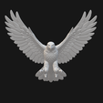 Flying-Eagle-with-Open-Wings-EWR2-Preview1.png Flying Eagle with Open Wings EWR2