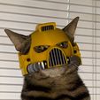 IMG_3737.jpeg SpaceMarine Cat Helmet Mark VIII