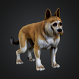 Screenshot-2025-10-19-at-5.31.51 PM.png Hyper/ultra realistic dog