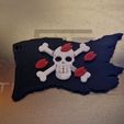 20230111_203231.jpg Tony Tony Chopper One Piece Flag