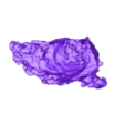 STL00002.stl 3D Model of Human Heart with Mirror Dextrocentric - generated from real patient