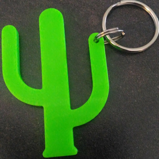 Porte clés cactus - 3D model önizlemesi