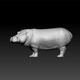 Hippopotame1.jpg Hippopotame -Hippopotamidae - Hippo 3d model for 3d print - Hippo toy