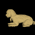 model-2.png Dog set - Pack of 3 DOGS- DOGS PACK - YORKIE POODLE