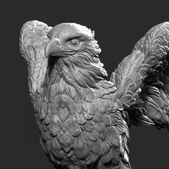 falcon6.jpg Datei 3D Modell Falke・Modell für 3D-Druck zum herunterladen
