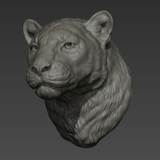 50.jpg Archivo OBJ Pantera cabeza de leopardo・Modelo de impresión 3D para descargar, guninnik81