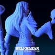 14.jpg Modèle d'impression 3D d'une magicienne elfe
