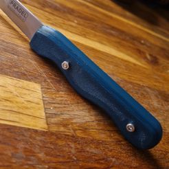 20240314_183050.jpg Pradel knife handle