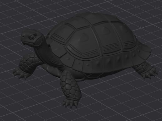 TURTLE