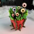 IMG_2139.jpg Planta de Monstro V1