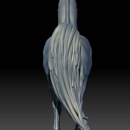 08.jpg Arabian Horse