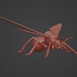 08.jpg Winged Ant