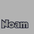 Sans-nom.png bi-color key ring Noam