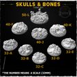 SKULLS & BONES | CORE SET | <i | | | | | | | | | | | _ *THE NUMBER MEANS A SCALE (32MM) Skull and Bones Base toppers
