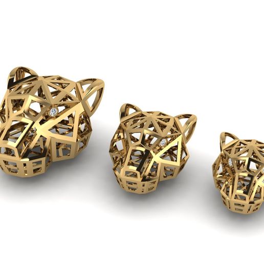 3.jpg Juego de cabeza de leopardo o pantera