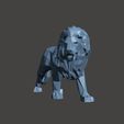 Screenshot_11.jpg Lion _ King of the Jungles  - Low Poly - Excellent Design - Decor