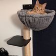 1000087001.jpg DIY cat tree / scratching post system: Modular & reusable (M8 & M10)