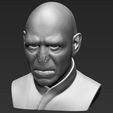 16.jpg Lord Voldemort bust ready for full color 3D printing