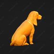 837-Basset_Bleu_de_Gascogne_Pose_06.jpg Basset Bleu de Gascogne Dog 3D Print Model Pose 06
