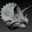 04.jpg Triceratops Head