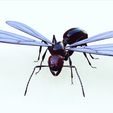 98.jpg ANT - DOWNLOAD ANT 3d Model - animated for Blender-Fbx-Unity-Maya-Unreal-C4d-3ds Max - 3D Printing ANT ANT - INSECT - POKÉMON - BUG - DINOSAUR - DRAGON - BEE