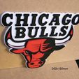 chicago-bulls-escudo-letrero-rotulo-impresion3d-michael-jordan.jpg Chicago Bulls, shield, sign, lettering, print3d, competition, court, basketball, american league, players, team, michael jordan, ball, ball, basket, t-shirt, jersey, sneakers.